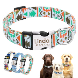 Colorful Dog Collar with Leash Set, Name/Phone Numbers