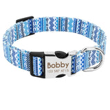 Colorful Dog Collar with Leash Set, Name/Phone Numbers